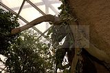leipzig zoo-01_07_2011_gondwanaland_150